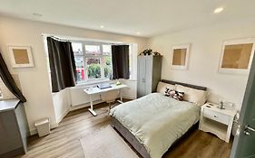 Delightful Studio In Wimbledon